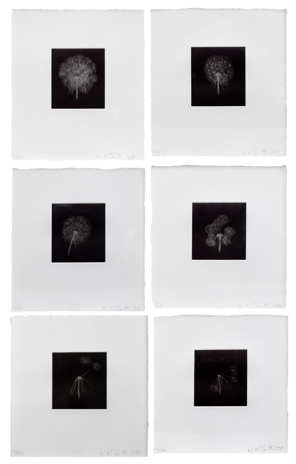 Kiki Smith lower res