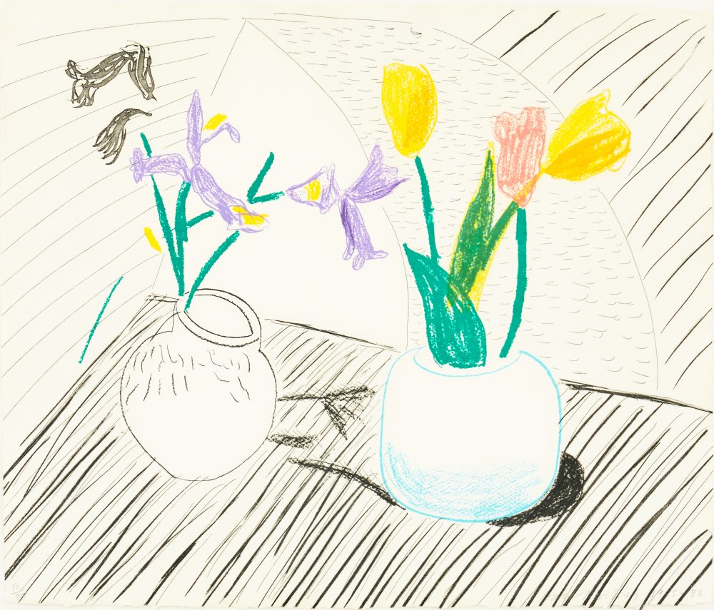 Hockney White Porcelain