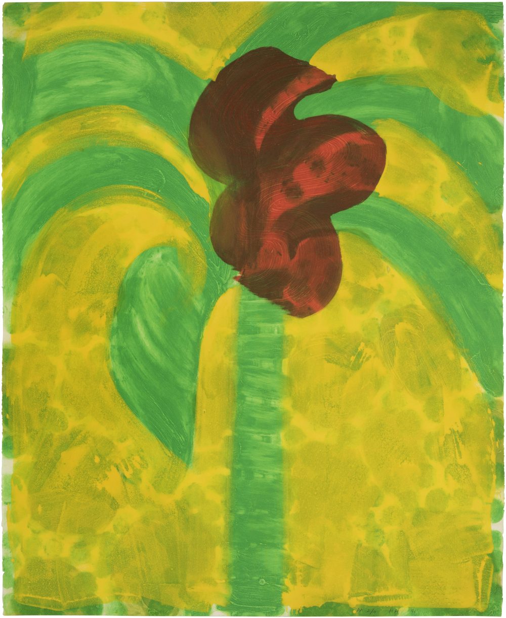 Howard Hodgkin Flowering Palm