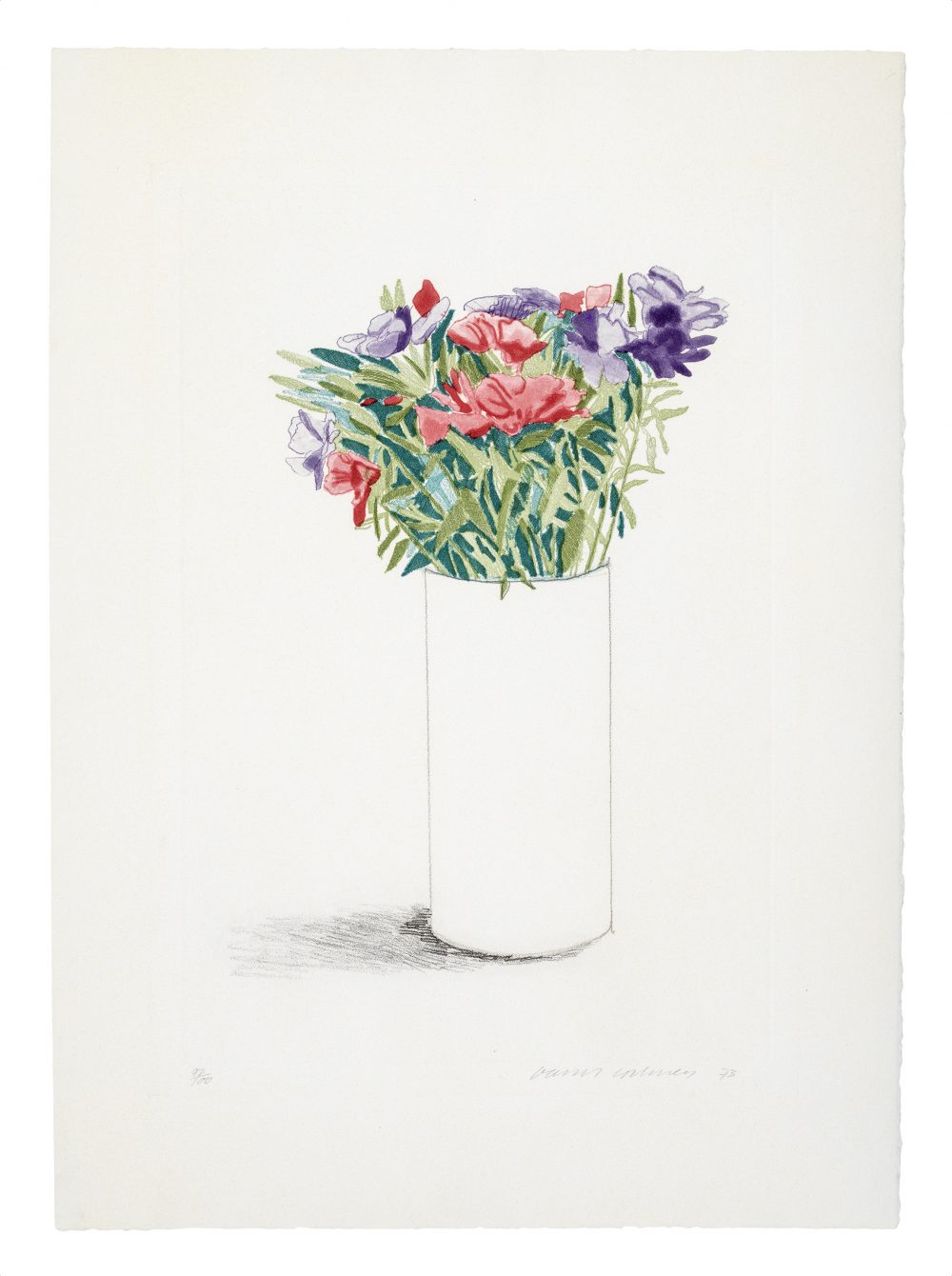Hockney – Godetia_01