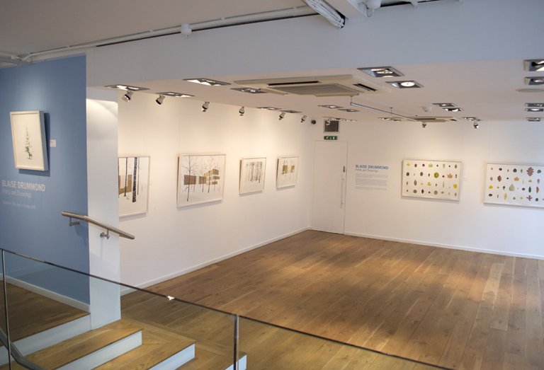 blaise7-web - Sims Reed Gallery