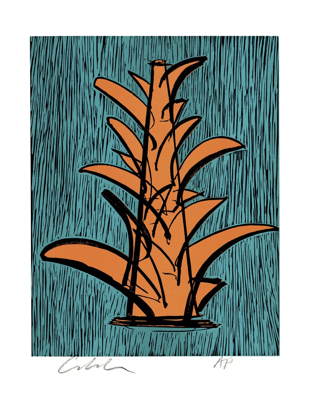 9D_MangoTango