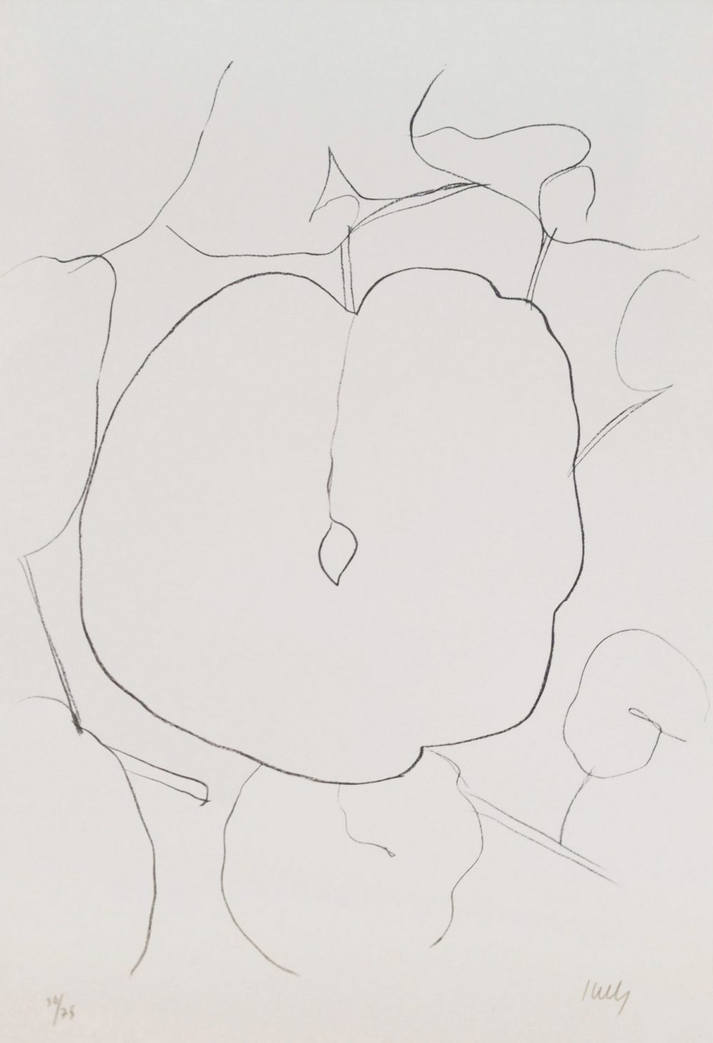 19. Kelly, Feuille de melon (Melon Leaf)