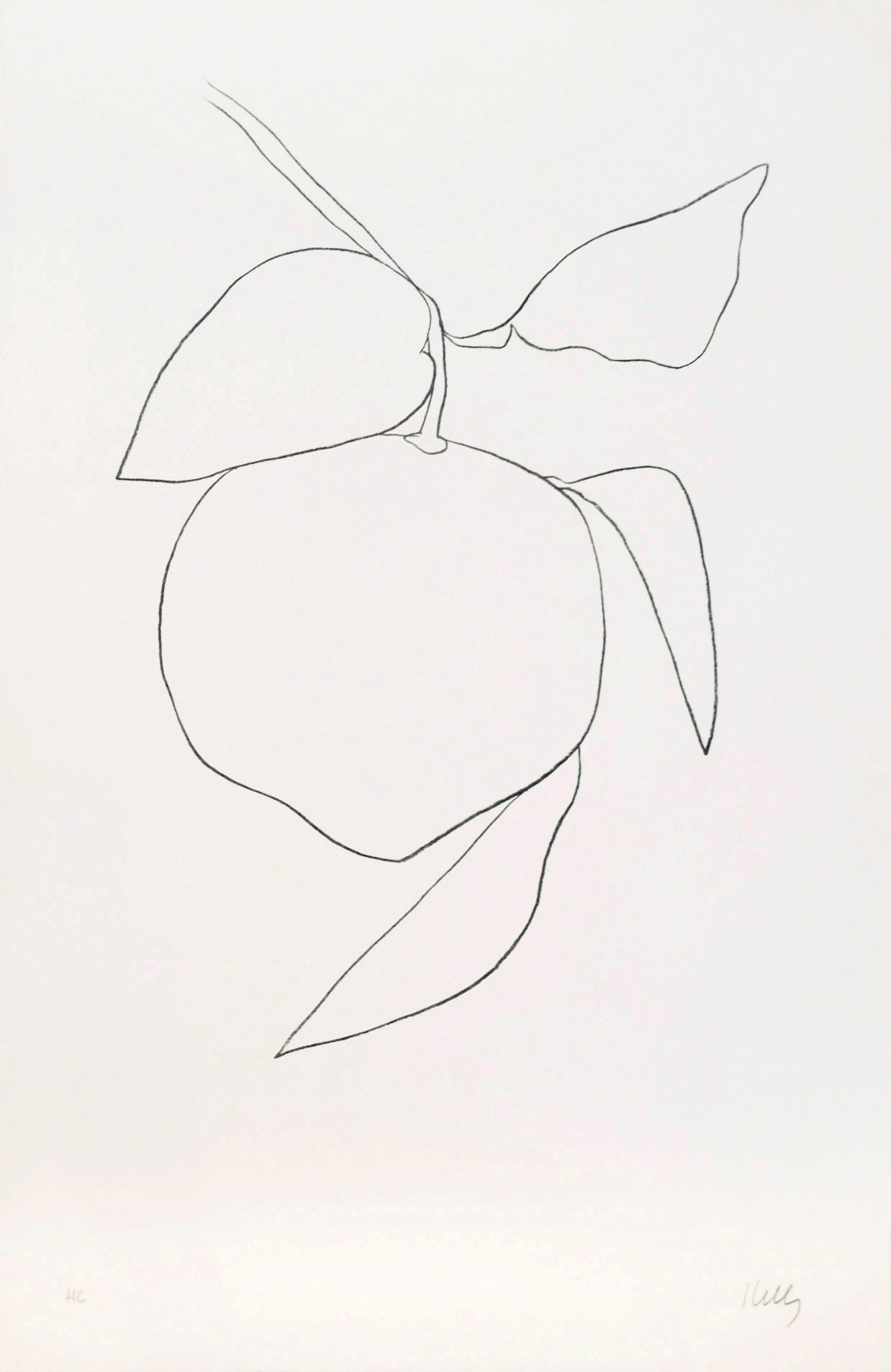 Pamplemousse (Grapefruit)